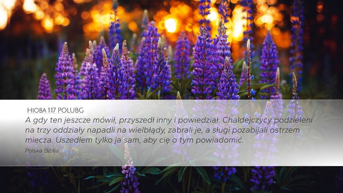 Hioba 1:17 POLUBG Bible Verse Image
