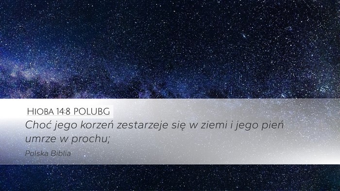 Hioba 14:8 POLUBG Desktop Wallpaper - Choć jego korzeń zestarzeje się w ziemi i jego - Desktop Bible Verse Wallpaper