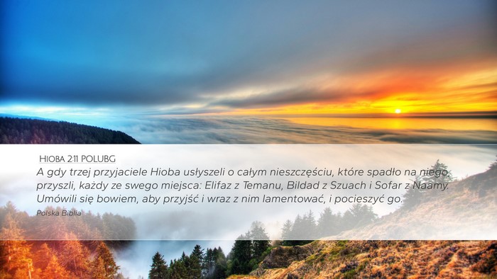 Hioba 2:11 POLUBG Bible Verse Image