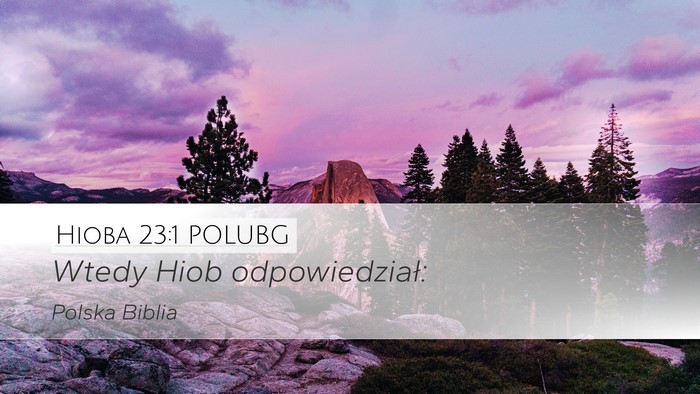 Hioba 23:1 POLUBG Desktop Wallpaper - Wtedy Hiob - Desktop Bible Verse Wallpaper
