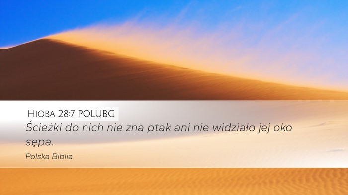 Hioba 28:7 POLUBG Bible Verse Image