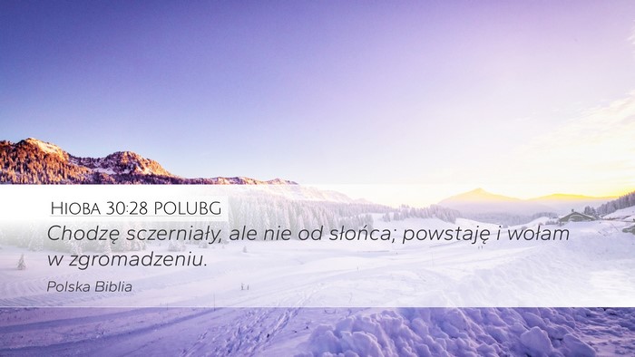 Hioba 30:28 POLUBG Bible Verse Image