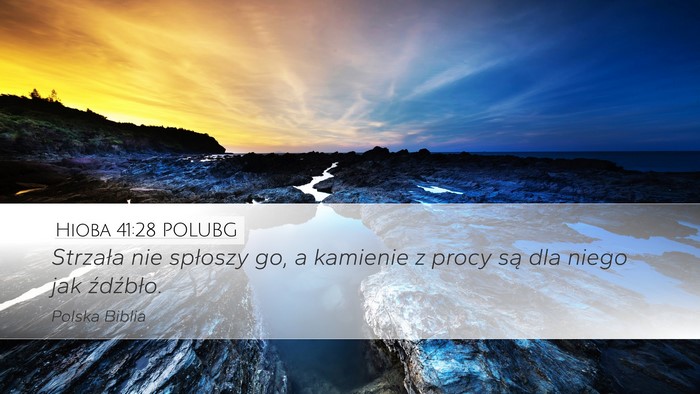 Hioba 41:28 POLUBG Desktop Wallpaper - Strzała nie spłoszy go, a kamienie z procy są - Desktop Bible Verse Wallpaper