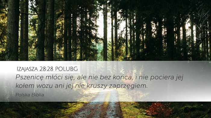 Izajasza 28:28 POLUBG Desktop Wallpaper - Pszenicę młóci się, ale nie bez końca, i nie - Desktop Bible Verse Wallpaper