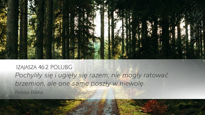 Izajasza 46:2 POLUBG Bible Verse Image