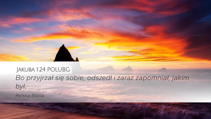 Jakuba 1:24 POLUBG Desktop Wallpaper - Bo przyjrzał się sobie, odszedł i zaraz - Desktop Bible Verse Wallpaper