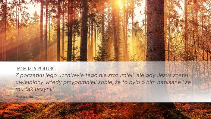 Jana 12:16 POLUBG Bible Verse Image