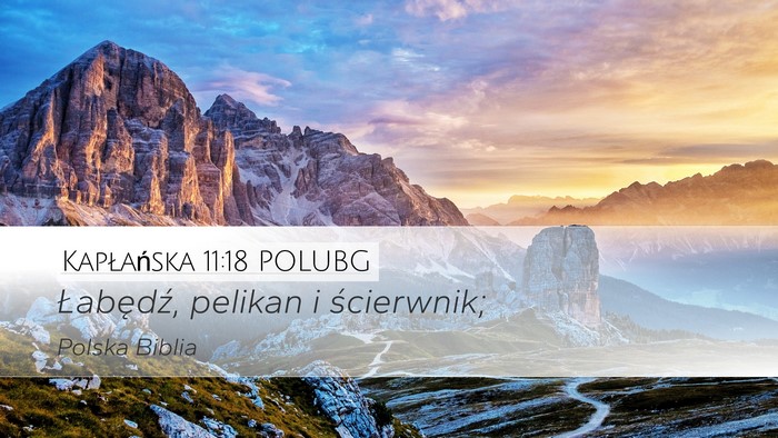 Kapłańska 11:18 POLUBG Desktop Wallpaper - Łabędź, pelikan i - Desktop Bible Verse Wallpaper