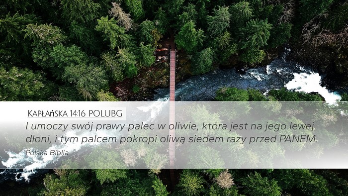 Kapłańska 14:16 POLUBG Desktop Wallpaper - I umoczy swój prawy palec w oliwie, która jest - Desktop Bible Verse Wallpaper