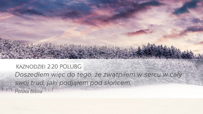 Kaznodziei 2:20 POLUBG Bible Verse Image
