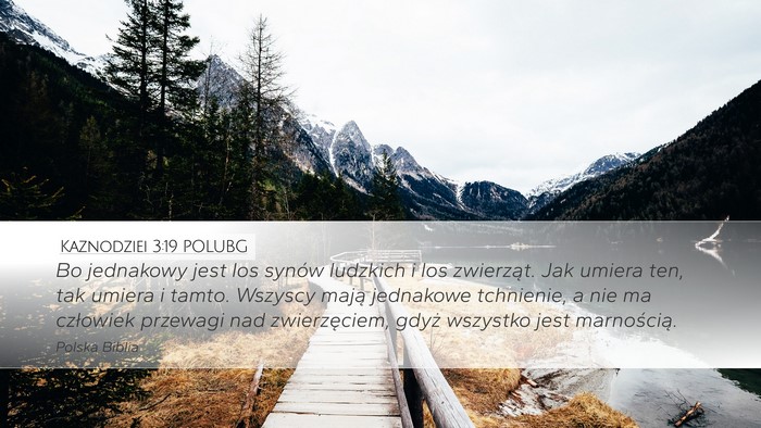 Kaznodziei 3:19 POLUBG Bible Verse Image