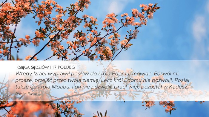 Księga Sędziów 11:17 POLUBG Bible Verse Image