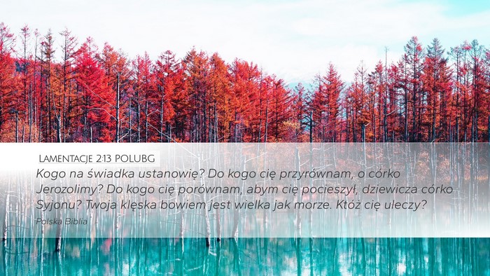 Lamentacje 2:13 POLUBG Bible Verse Image
