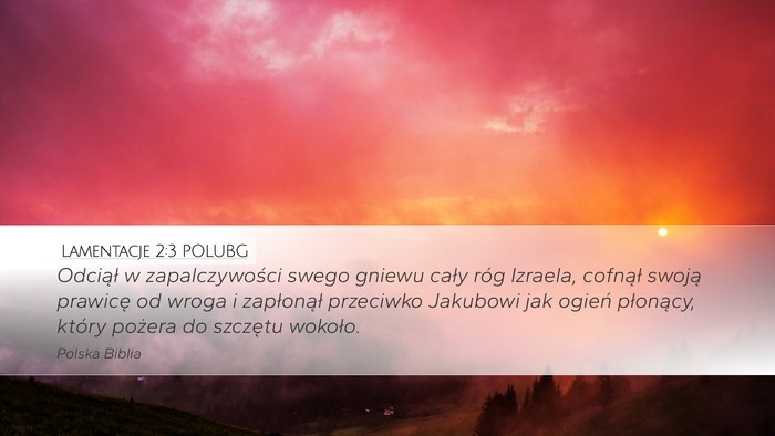 Lamentacje 2:3 POLUBG Bible Verse Image