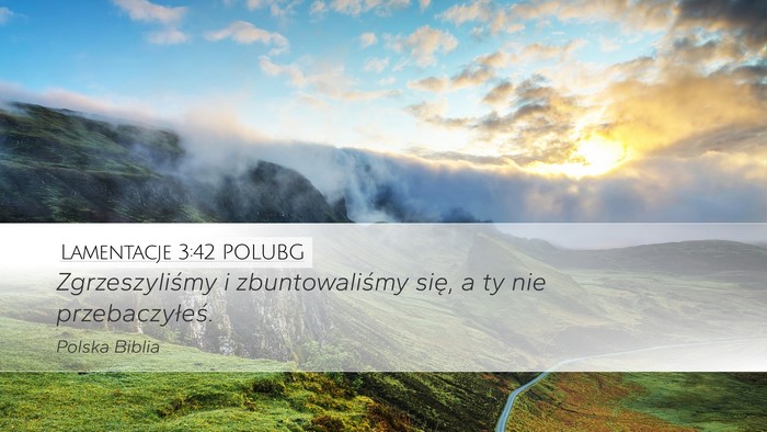 Lamentacje 3:42 POLUBG Bible Verse Image