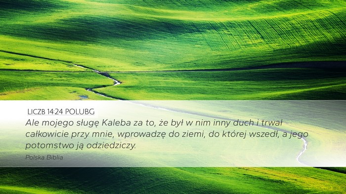 Liczb 14:24 POLUBG Bible Verse Image