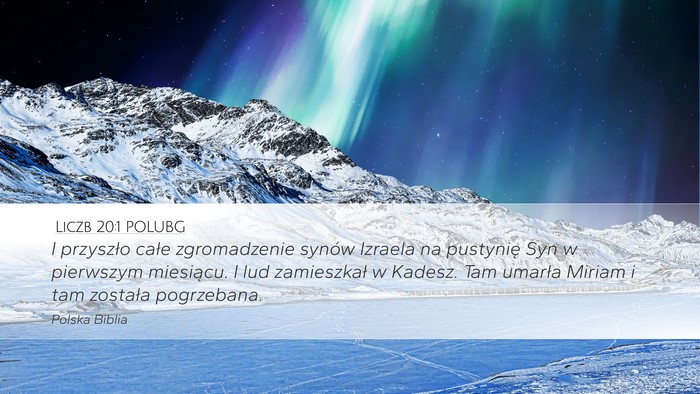 Liczb 20:1 POLUBG Bible Verse Image