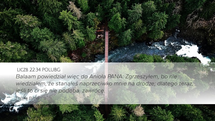 Liczb 22:34 POLUBG Bible Verse Image