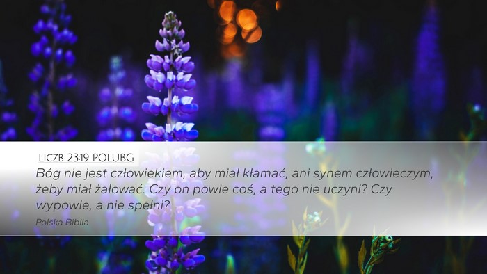 Liczb 23:19 POLUBG Bible Verse Image