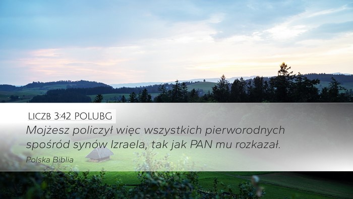 Liczb 3:42 POLUBG Desktop Wallpaper - Mojżesz policzył więc wszystkich pierworodnych - Desktop Bible Verse Wallpaper