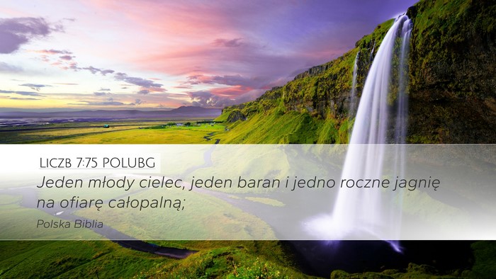 Liczb 7:75 POLUBG Desktop Wallpaper - Jeden młody cielec, jeden baran i jedno roczne - Desktop Bible Verse Wallpaper