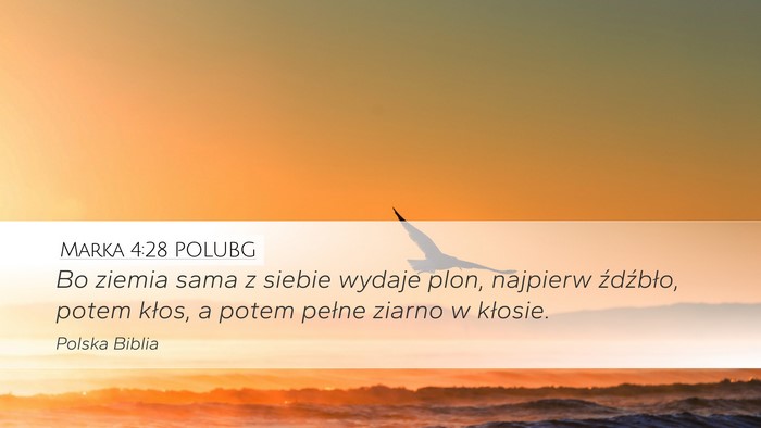 Marka 4:28 POLUBG Desktop Wallpaper - Bo ziemia sama z siebie wydaje plon, najpierw - Desktop Bible Verse Wallpaper