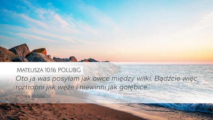 Mateusza 10:16 POLUBG Bible Verse Image