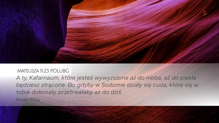 Mateusza 11:23 POLUBG Bible Verse Image