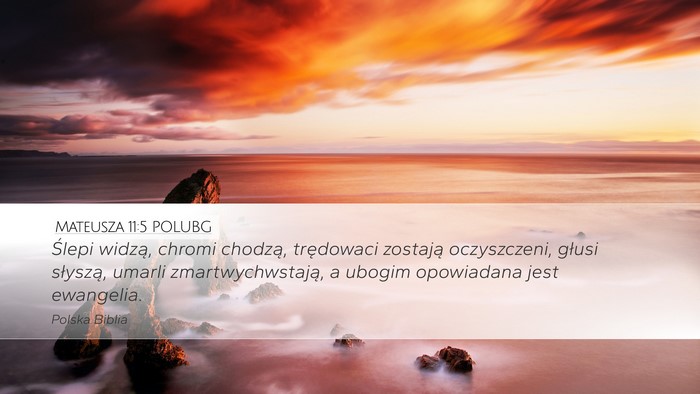 Mateusza 11:5 POLUBG Bible Verse Image