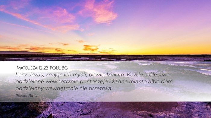 Mateusza 12:25 POLUBG Bible Verse Image
