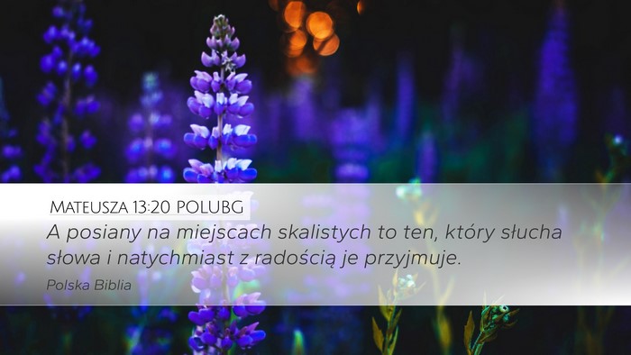 Mateusza 13:20 POLUBG Bible Verse Image