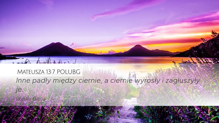 Mateusza 13:7 POLUBG Bible Verse Image