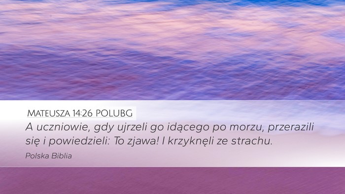 Mateusza 14:26 POLUBG Bible Verse Image
