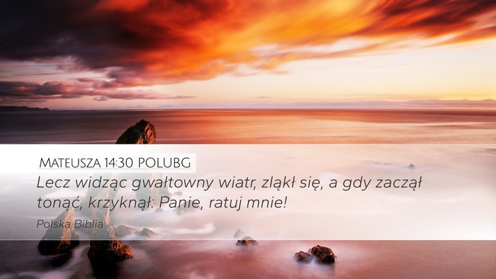 Mateusza 14:30 POLUBG Bible Verse Image