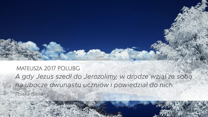 Mateusza 20:17 POLUBG Bible Verse Image