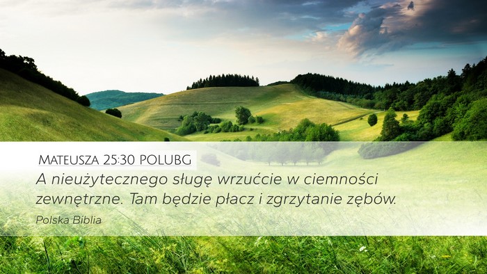 Mateusza 25:30 POLUBG Bible Verse Image