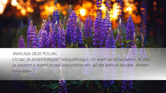 Mateusza 28:20 POLUBG Bible Verse Image