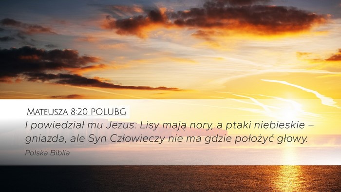 Mateusza 8:20 POLUBG Bible Verse Image