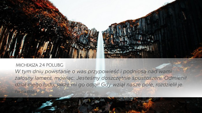 Micheasza 2:4 POLUBG Bible Verse Image