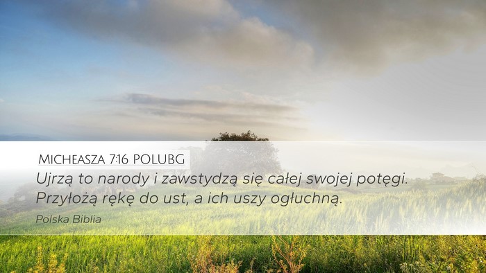 Micheasza 7:16 POLUBG Bible Verse Image