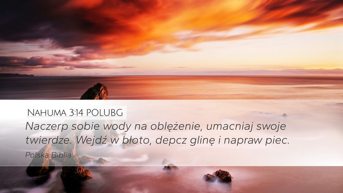 Nahuma 3:14 POLUBG Bible Verse Image