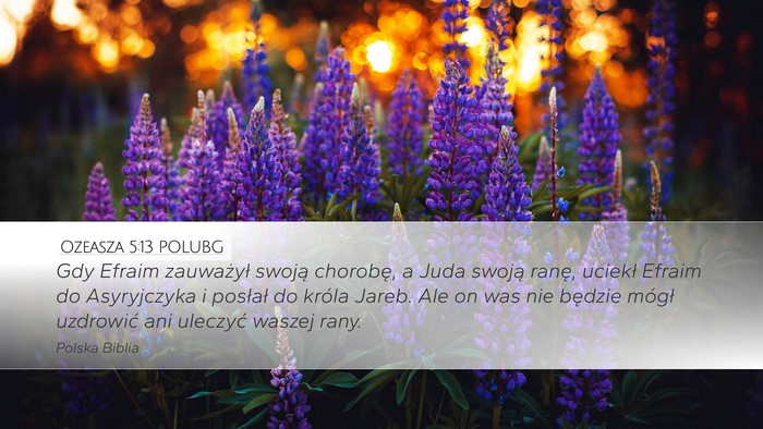 Ozeasza 5:13 POLUBG Bible Verse Image