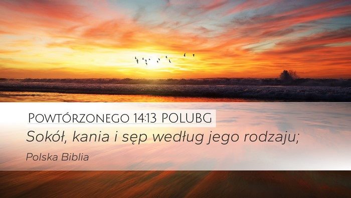 Powtórzonego 14:13 POLUBG Desktop Wallpaper - Sokół, kania i sęp według jego - Desktop Bible Verse Wallpaper