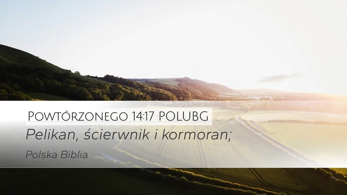 Powtórzonego 14:17 POLUBG Desktop Wallpaper - Pelikan, ścierwnik i - Desktop Bible Verse Wallpaper