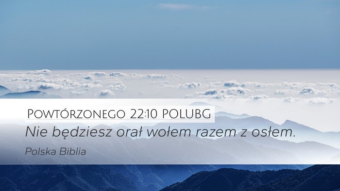 Powtórzonego 22:10 POLUBG Desktop Wallpaper - Nie będziesz orał wołem razem z - Desktop Bible Verse Wallpaper