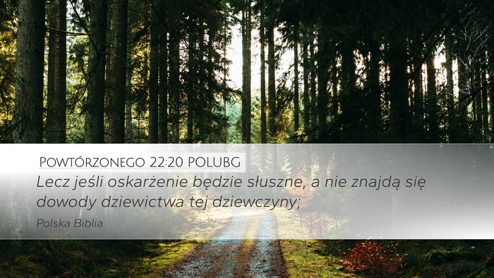 Powtórzonego 22:20 POLUBG Desktop Wallpaper - Lecz jeśli oskarżenie będzie słuszne, a nie - Desktop Bible Verse Wallpaper