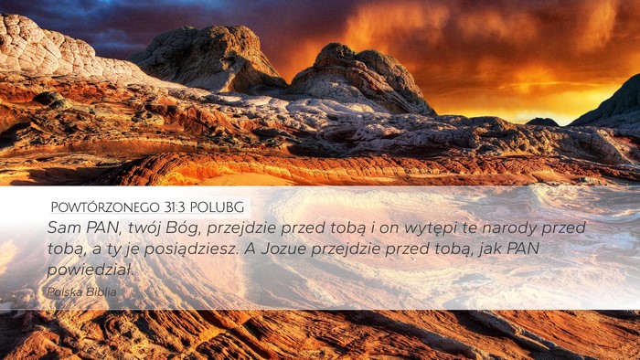 Powtórzonego 31:3 POLUBG Bible Verse Image