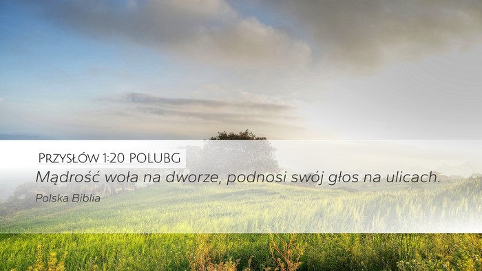 Przysłów 1:20 POLUBG Bible Verse Image
