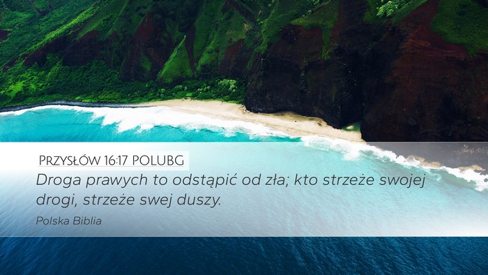 Przysłów 16:17 POLUBG Bible Verse Image