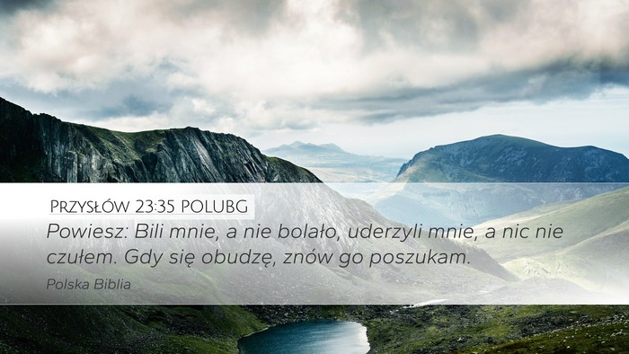 Przysłów 23:35 POLUBG Bible Verse Image